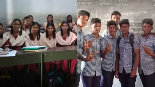 +2 பொது தேர்வு முடிவுகள் 2019: 91 சதவீதம் தேர்ச்சி, திருப்பூர் மாநிலம் முன்னிலை