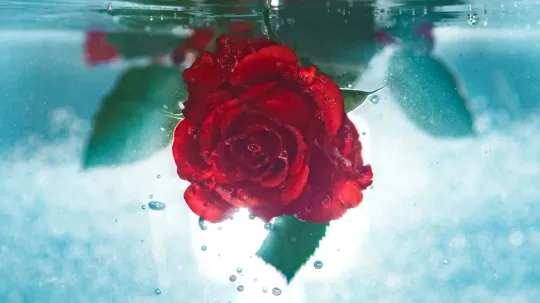 ரோஸ் வாட்டர் வெயில் காலத்தில் உபயோகிக்கலாமா