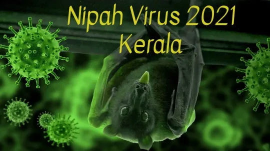 கேரளாவில் 12 வயது சிறுவன் நிபா வைரஸ் பாதிக்கப்பட்டு இறந்துள்ளார்