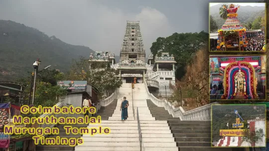 கவ மரதமல அரளமக சபபரமணய சவம தரககயல பறறய மழ தகவல