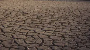 எதிர்காலத்தில் தண்ணீர் இல்லாத சூழல் உருவாகும்.