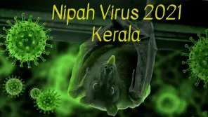 நிபா வைரஸ்